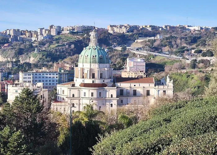 Maioliche E Porcellane